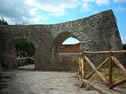 DSCN0774