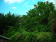 DSCN0793
