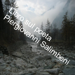 Video foto libro sul Salimbeni